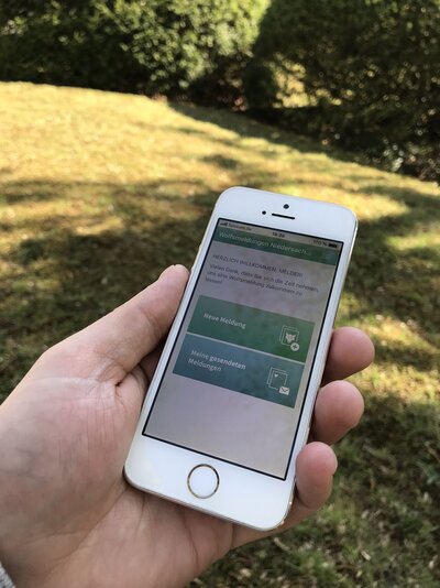 Handy mit der App "Wolfsmeldungen Niedersachsen"