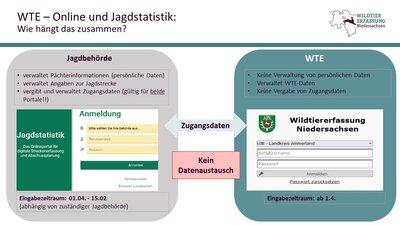 Schaubild, das den Zusammenhang von Wildtiererfassung online und Jagdstatistik erklärt
