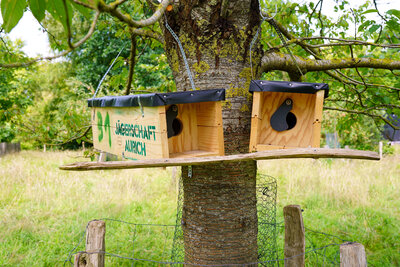 Apfelbaum mit Vogelkasten